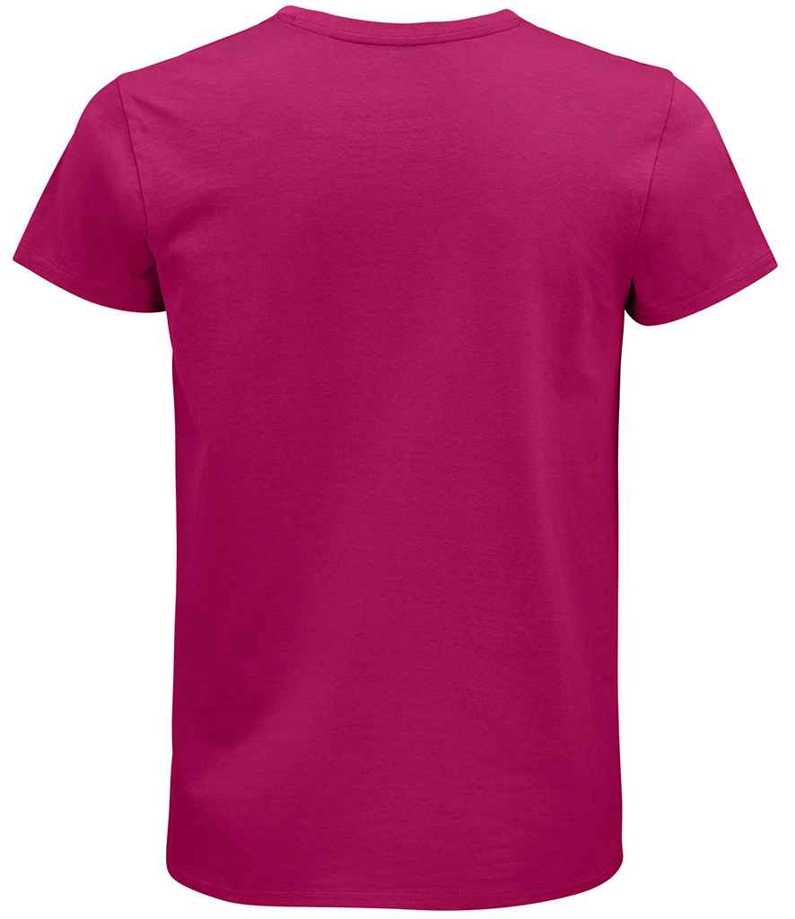 03565 Fuchsia Back