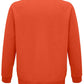 03567 Burnt Orange Back