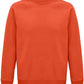 03567 Burnt Orange Front