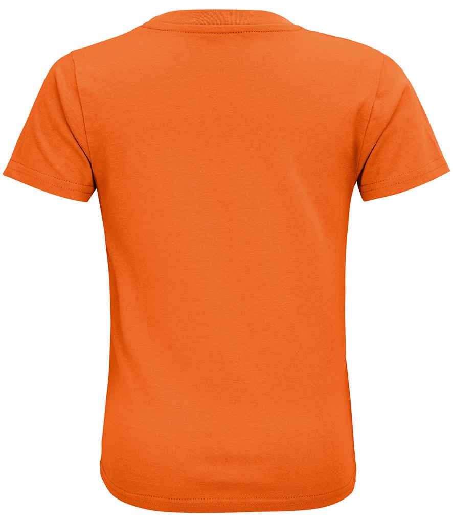 03580 Orange Back