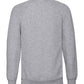 762M Light Oxford Back