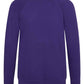 AC001B Purple Back