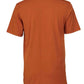 CV3001 Autumn Back