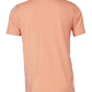 CV3001 Sunset Back
