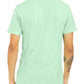 CV3413 Mint Back