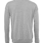 CV3945 Athletic Heather Back