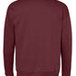 CV3945 Maroon Back