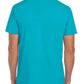 GD01 Tropical Blue Back
