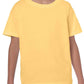 GD05B Yellow Haze Front