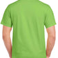GD05 Lime Green Back