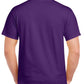 GD05 Purple Back
