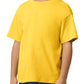 GD15B Daisy Front