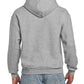GD54 Sport Grey Back