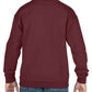 GD56B Maroon Back