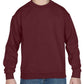 GD56B Maroon Front