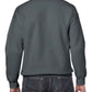 GD56 Charcoal Back