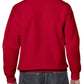 GD56 Cherry Red Back