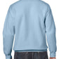 GD56 Light Blue Back