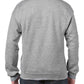 GD56 Sport Grey Back