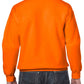 GD56 S Orange Back