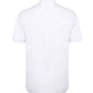 H517R White Back