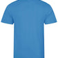 JC001 Cornflower Back