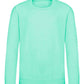 JH030B Peppermint Front