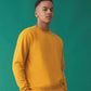 JH030 Mustard Model