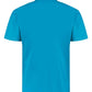 K422 Turquoise Blue Back