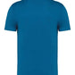 NS305 Blue Sapphire Back