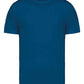 NS305 Blue Sapphire Front