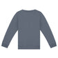 NS403 Mineral Grey Back