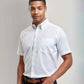 PR236 White Model