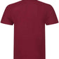 RX101 Burgundy Back