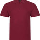 RX101 Burgundy Front