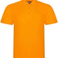 RX101 Orange Front