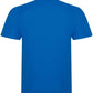 RX101 Sapphire Blue Back