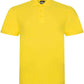 RX101 Yellow Front