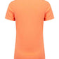 SK121 Coral Back