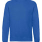 SS9 Royal Blue Front